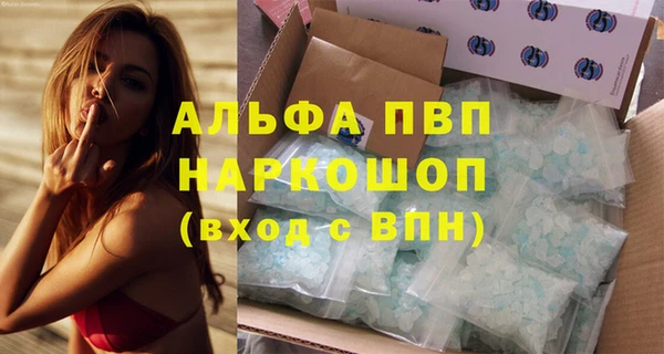 PSILOCYBIN Кукмор