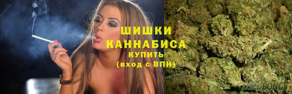 мет Корсаков