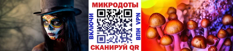 Галлюциногенные грибы GOLDEN TEACHER  где купить наркотик  Фрязино 