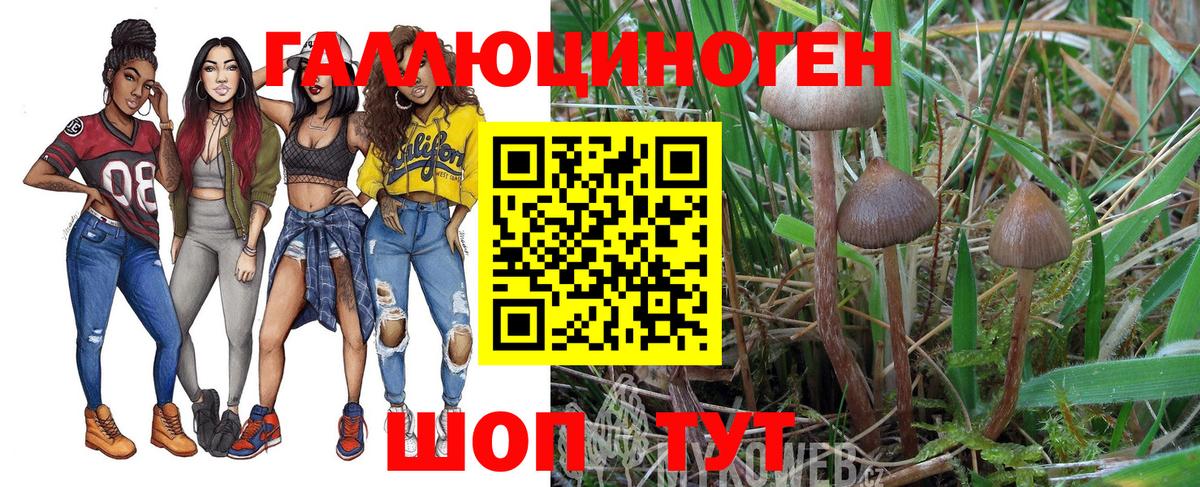 Псилоцибиновые грибы MAGIC MUSHROOMS Фрязино