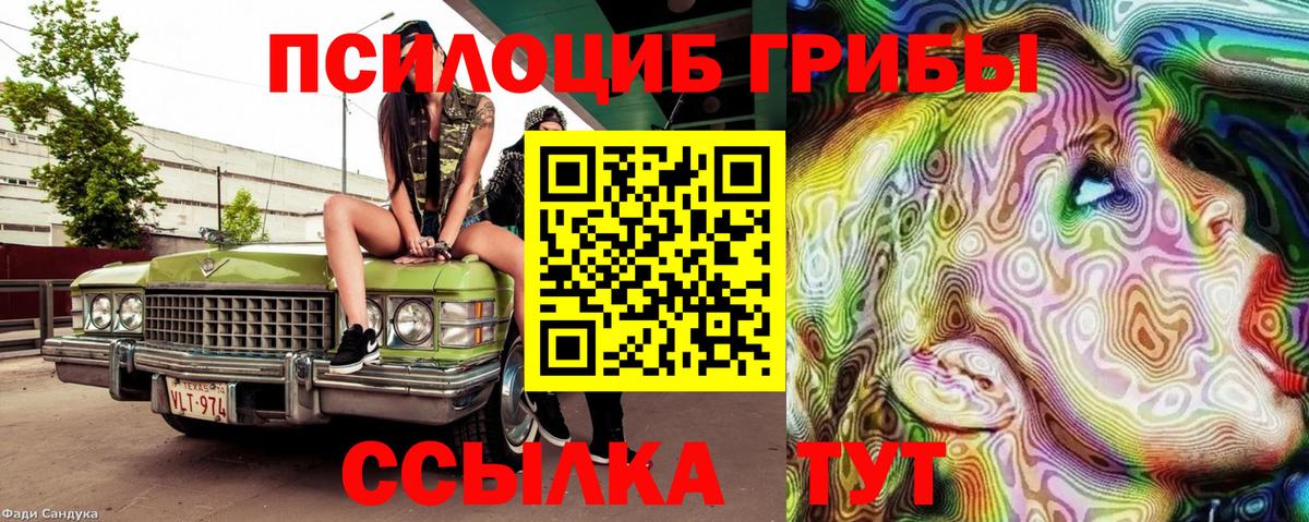 Фрязино  Галлюциногенные грибы прущие грибы  закладки  Вход с VPN 